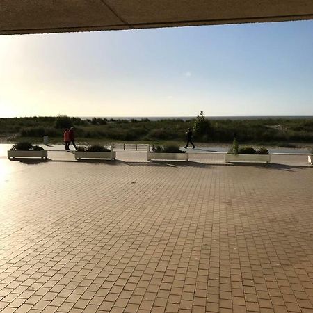Zandduin Nieuwpoort Ngoại thất bức ảnh
