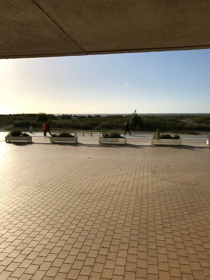 Zandduin Nieuwpoort Ngoại thất bức ảnh